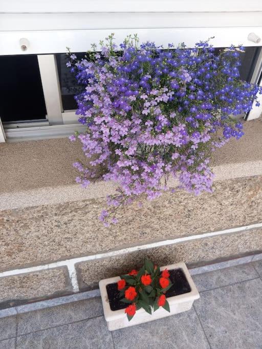Precioso Apartamento En San Vicente De O Grove ซานบิเซนเต เด โอโกรเว ภายนอก รูปภาพ